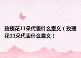 玫瑰花11朵代表什么意义（玫瑰花11朵代表什么意义）
