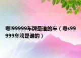 粤l99999车牌是谁的车（粤s99999车牌是谁的）