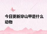 今日更新穿山甲是什么动物