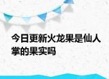 今日更新火龙果是仙人掌的果实吗