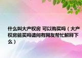 什么叫大产权房 可以购买吗（大产权房能买吗请问有网友帮忙解释下么）
