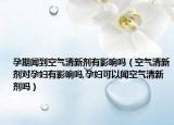 孕期闻到空气清新剂有影响吗（空气清新剂对孕妇有影响吗,孕妇可以闻空气清新剂吗）