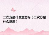 二次方是什么意思呀（二次方是什么意思）