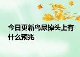 今日更新鸟尿掉头上有什么预兆