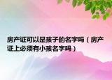 房产证可以是孩子的名字吗（房产证上必须有小孩名字吗）