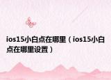 ios15小白点在哪里（ios15小白点在哪里设置）