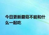 今日更新蘑菇不能和什么一起吃