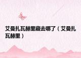艾曼扎瓦赫里藏去哪了（艾曼扎瓦赫里）