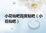小花仙吧百度贴吧（小花仙吧）