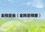 金陵是谁（金陵是哪里）