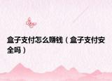 盒子支付怎么赚钱（盒子支付安全吗）