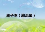 刷子李（刷流量）