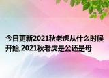 今日更新2021秋老虎从什么时候开始,2021秋老虎是公还是母