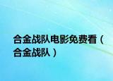 合金战队电影免费看（合金战队）