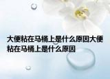 大便粘在马桶上是什么原因大便粘在马桶上是什么原因