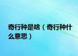 奇行种是啥（奇行种什么意思）