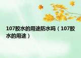 107胶水的用途防水吗（107胶水的用途）