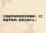 江南逢李龟年的译文和情感（《江南逢李龟年》的译文是什么）