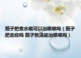 茄子把煮水喝可以治咳嗽吗（茄子把去痰吗 茄子熬汤能治咳嗽吗）