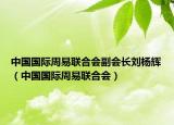 中国国际周易联合会副会长刘杨辉（中国国际周易联合会）