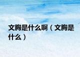 文胸是什么啊（文胸是什么）