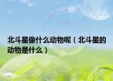 北斗星像什么动物呢（北斗星的动物是什么）