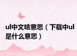 ul中文啥意思（下载中ul是什么意思）