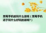 黑莓手机能玩什么游戏（黑莓手机适于玩什么好玩的游戏?）