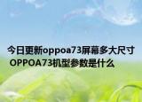 今日更新oppoa73屏幕多大尺寸 OPPOA73机型参数是什么