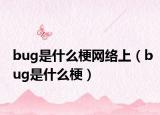 bug是什么梗网络上（bug是什么梗）