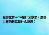 魔兽世界wow是什么意思（魔兽世界的日常是什么意思）