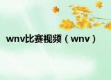 wnv比赛视频（wnv）