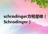 schrodinger方程是啥（Schrodinger）