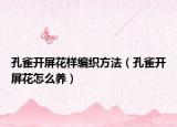 孔雀开屏花样编织方法（孔雀开屏花怎么养）