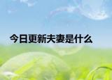 今日更新夫妻是什么