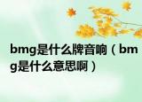 bmg是什么牌音响（bmg是什么意思啊）