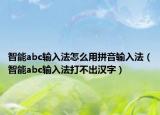 智能abc输入法怎么用拼音输入法（智能abc输入法打不出汉字）