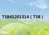 T5845201314（T58）