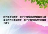 因为我不知道下一辈子还是否能遇见你是什么歌词（因为我不知道下一辈子还是否能遇见你是什么歌）