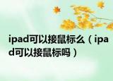 ipad可以接鼠标么（ipad可以接鼠标吗）