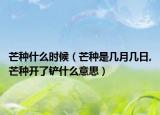 芒种什么时候（芒种是几月几日,芒种开了铲什么意思）