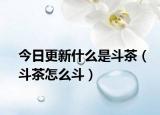 今日更新什么是斗茶（斗茶怎么斗）