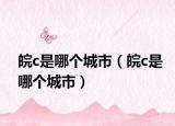 皖c是哪个城市（皖c是哪个城市）