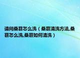请问桑葚怎么洗（桑葚清洗方法,桑葚怎么洗,桑葚如何清洗）
