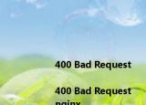 <html>
<head><title>400 Bad Request<title><head>
<body>
<center><h1>400 Bad Request<h1><center>
<hr><center>nginx<center>
<body>
<html>
