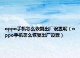oppo手机怎么恢复出厂设置呢（oppo手机怎么恢复出厂设置）