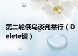 第二轮俄乌谈判举行（Delete键）