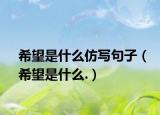 希望是什么仿写句子（希望是什么.）
