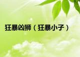 狂暴凶狮（狂暴小子）