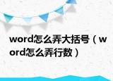 word怎么弄大括号（word怎么弄行数）